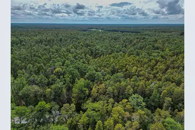 0 Poyner Oaks Road N, Polk City, FL 33868 - Photo 7