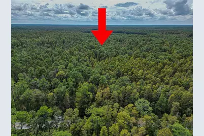 0 Poyner Oaks Road N, Polk City, FL 33868 - Photo 5