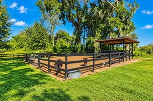 15940 NW 16 Ave, Citra, FL 32113 - Photo 47