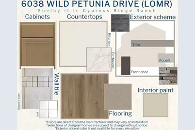 6038 Wild Petunia Drive, Wimauma, FL 33598 - Photo 3