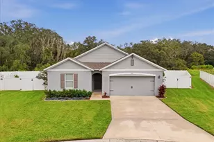 261 St Thomas Dr, Mulberry, FL 33860 - Photo 3
