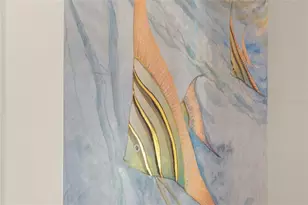 2340 Bayshore Rd, Nokomis, FL 34275 - Photo 79