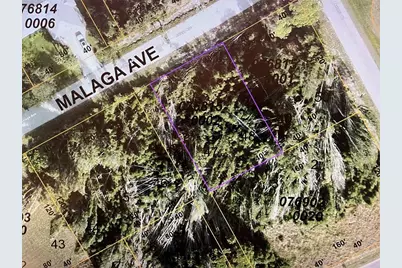Lot 47&48 Malaga Avenue, North Port, FL 34287 - Photo 1
