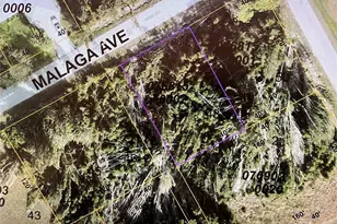 Lot 47&48 Malaga Ave, North Port, FL 34287 - Photo 1