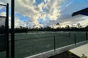 12520 Galapagos Ct, Venice, FL 34293 - Photo 39