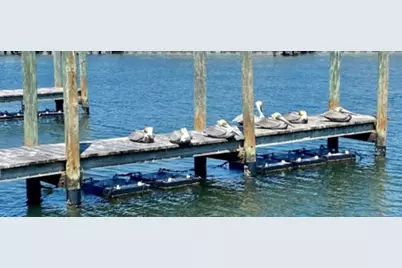 811 Bogie, Venice, FL 34285 - Photo 9