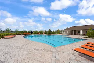 16766 Carlton Pond St, Wimauma, FL 33598 - Photo 25