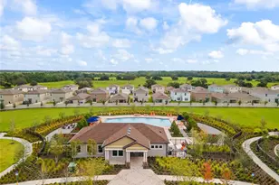 16766 Carlton Pond St, Wimauma, FL 33598 - Photo 31