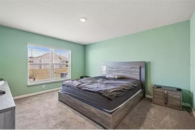 16766 Carlton Pond Street, Wimauma, FL 33598 - Photo 11