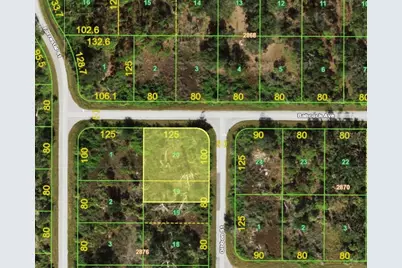 1039 Gibbon Street, Port Charlotte, FL 33953 - Photo 1