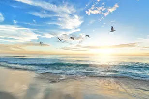 746 Eagle Point Dr, Venice, FL 34285 - Photo 45