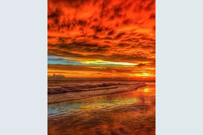 471 Bayshore Road, Nokomis, FL 34275 - Photo 95