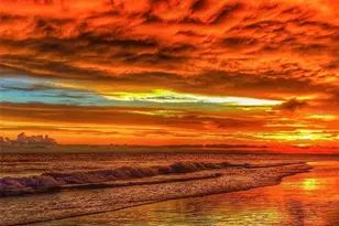 471 Bayshore Rd, Nokomis, FL 34275 - Photo 95