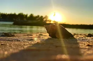 201 Cavallini Dr, Nokomis, FL 34275 - Photo 87