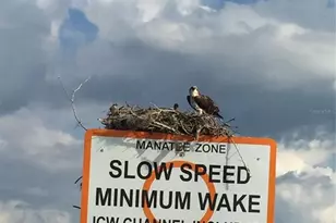 201 Cavallini Dr, Nokomis, FL 34275 - Photo 85