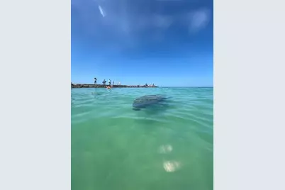 109 Bayshore Road #10, Nokomis, FL 34275 - Photo 77