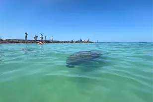 109 Bayshore Rd, Nokomis, FL 34275 - Photo 77