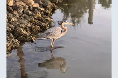 109 Bayshore Road #10, Nokomis, FL 34275 - Photo 59