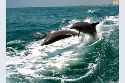 109 Bayshore Road #10, Nokomis, FL 34275 - Photo 57