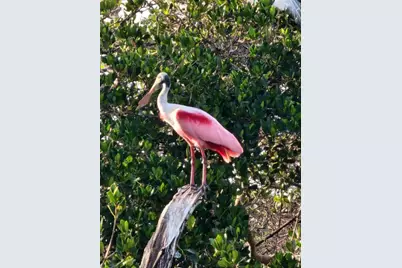 109 Bayshore Road #10, Nokomis, FL 34275 - Photo 61