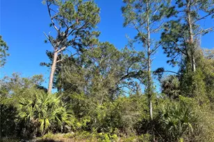 Fears St, North Port, FL 34288 - Photo 1