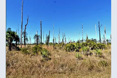 Ewen Circle, North Port, FL 34288 - Photo 1