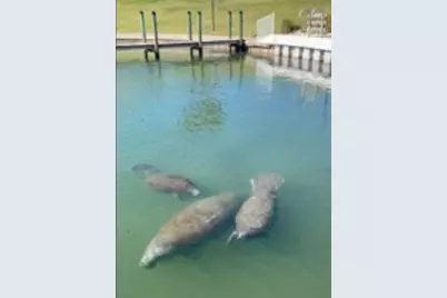 818 Bogie Street, Venice, FL 34285 - Photo 27