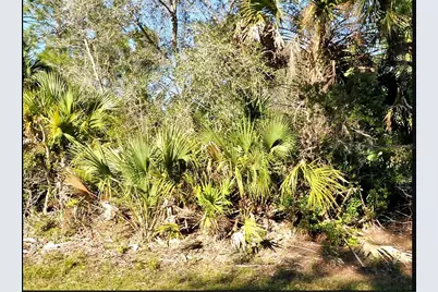 Wild Goose Drive, North Port, FL 34291 - Photo 1