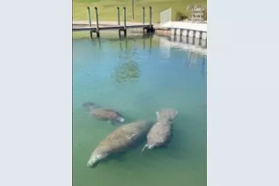 615 S Green Circle, Venice, FL 34285 - Photo 19