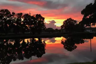 5966 Willows Bridge Loop, Ellenton, FL 34222 - Photo 53