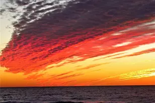 1100 Tarpon Center Dr, Venice, FL 34285 - Photo 39