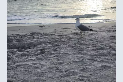 15140 Lyneburg Avenue, Port Charlotte, FL 33981 - Photo 73