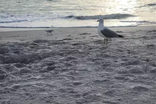 15140 Lyneburg Ave, Port Charlotte, FL 33981 - Photo 73