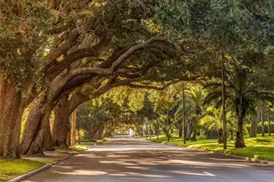 503 N Tamiami Trail, Venice, FL 34285 - Photo 57