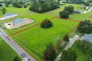 736 E Dunbar Ln, Hernando, FL 34442 - Photo 7