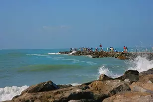 288 Soliera St, Nokomis, FL 34275 - Photo 73