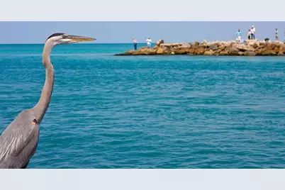 288 Soliera Street, Nokomis, FL 34275 - Photo 71