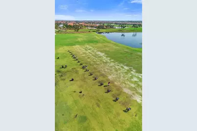 10797 Tarflower Drive #202, Venice, FL 34293 - Photo 67