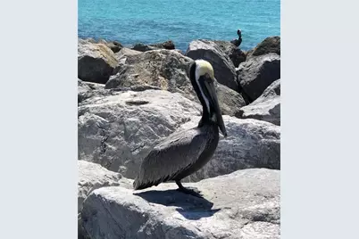 10797 Tarflower Drive #202, Venice, FL 34293 - Photo 69