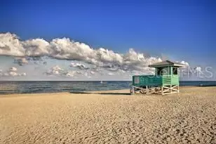 117 Savona Way, North Venice, FL 34275 - Photo 53