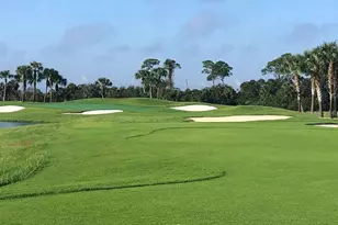 14132 Poppy Field Loop, Punta Gorda, FL 33955 - Photo 43