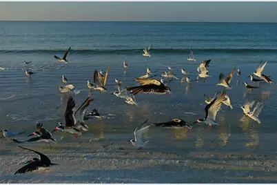 37 Waterford Drive, Englewood, FL 34223 - Photo 59