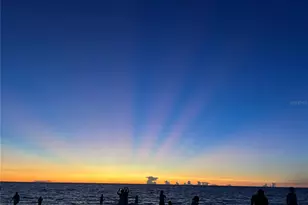 503 Albee Farm Rd, Venice, FL 34285 - Photo 45