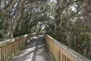 106 Savona Way, North Venice, FL 34275 - Photo 77