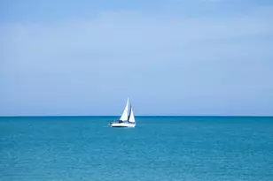 754 Bird Bay Cir, Venice, FL 34285 - Photo 47