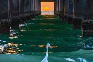 475 Circlewood Dr, Venice, FL 34293 - Photo 53