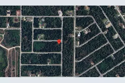 14499 Gary Avenue, Port Charlotte, FL 33953 - Photo 1