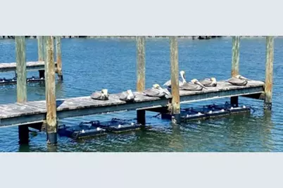 858 S Green Circle, Venice, FL 34285 - Photo 43