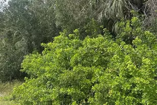 Kamain Rd, North Port, FL 34288 - Photo 1