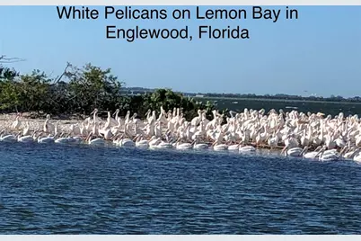 5225 Canyonland Way, Venice, FL 34293 - Photo 81